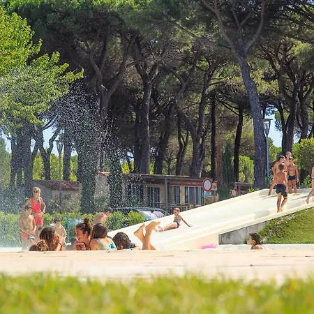 营地 New Campsite In Camping Pineta Sul Mare 切塞纳蒂科