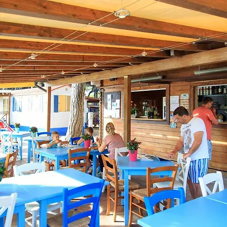 New Campsite In Camping Pineta Sul Mare 营地 *