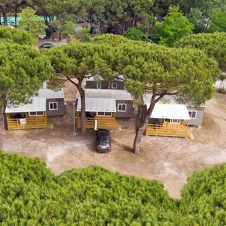 New Campsite In Camping Pineta Sul Mare *