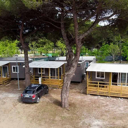 New Campsite In Camping Pineta Sul Mare